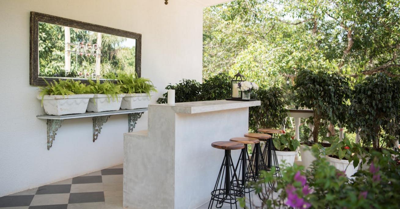 Aranżacja tarasu – jakie rośliny wybrać, by stworzyć spójną i efektowną przestrzeń