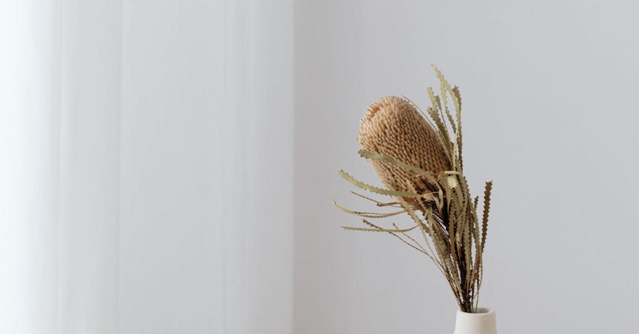 Sucha zabudowa w nowoczesnym wnętrzu – estetyka i funkcjonalność