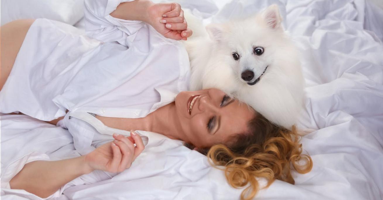 Jak zrobić drewniane legowisko dla psa – trwały i stylowy projekt DIY